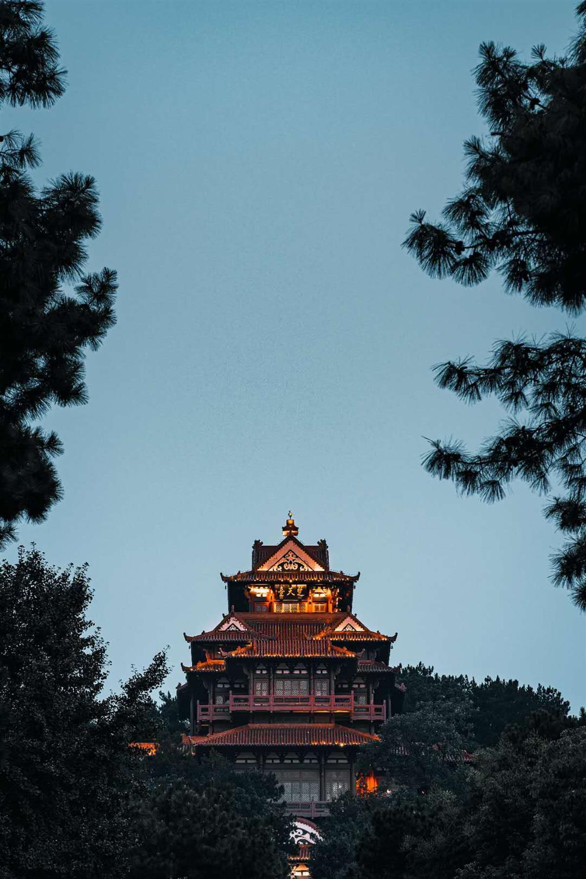 9号赌场下载